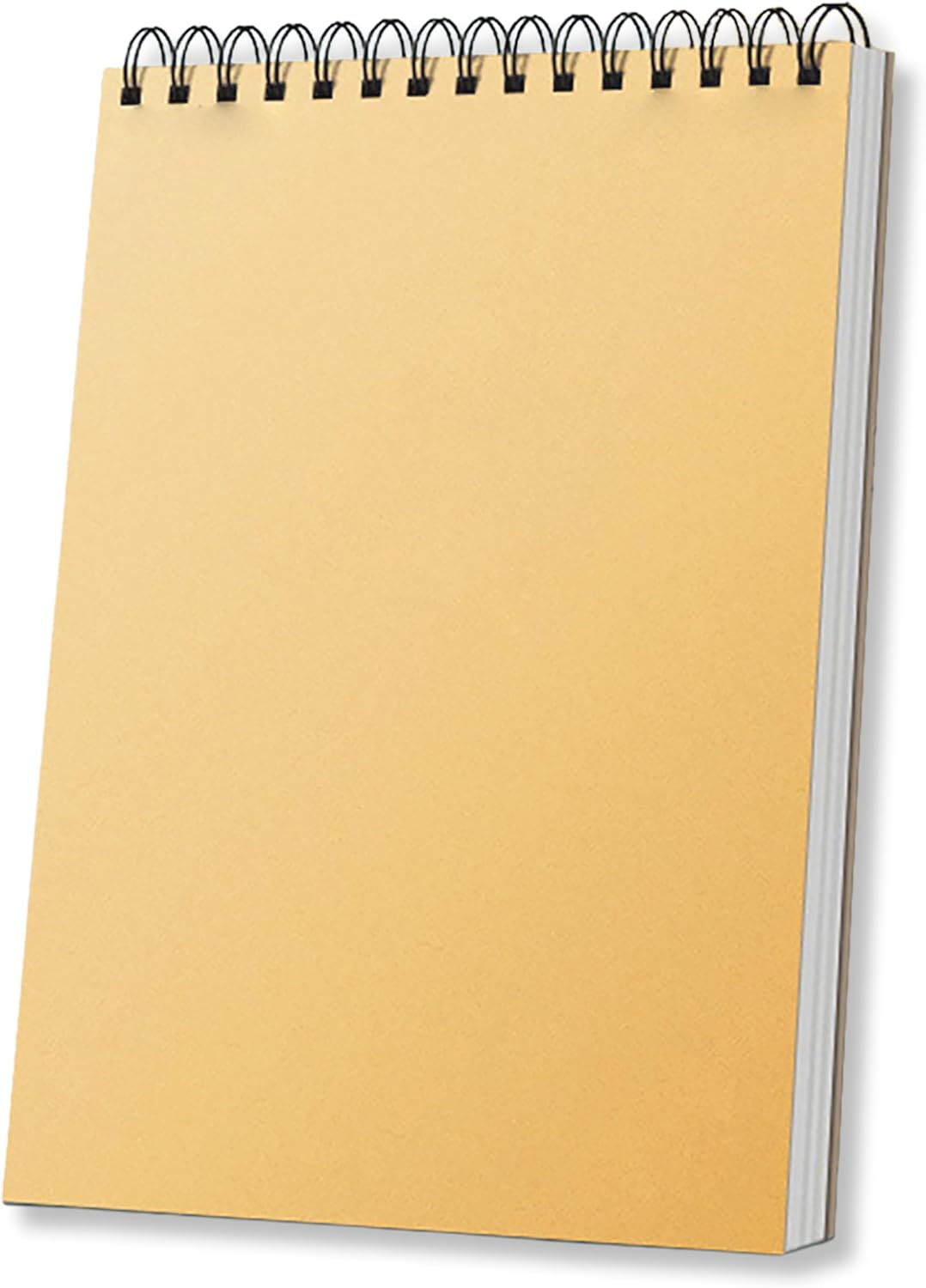 8" x 11.6" Sketch Book, 60 Sheets Top Spiral Bound Sketchbook, Acid-Free 160 GSM Drawing Paper,Art Sketch Pad